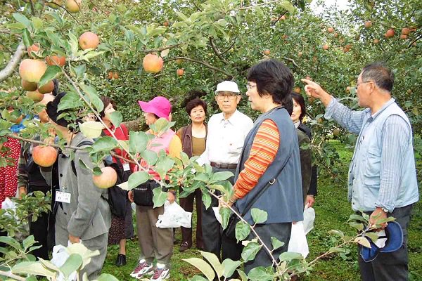 【2021年版】ベトナムへの果物輸出の最新情報：輸出可能な果物と輸出手続き：リンゴ狩り