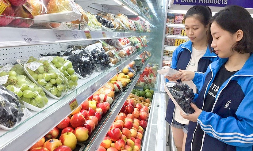 【2021年版】ベトナムへの果物輸出の最新情報：輸出可能な果物と輸出手続き
