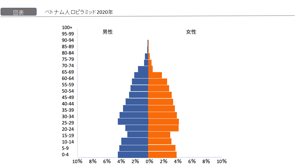 ベトナムの人口増加と高齢化│産業構造と介護需要の変化：人口ピラミッド