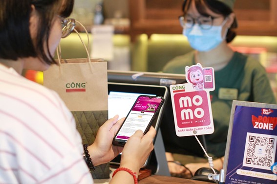 ベトナムのデジタル経済・DX市場動向の考察と将来予測：みずほはベトナム電子決済最大手MOMOへ投資
