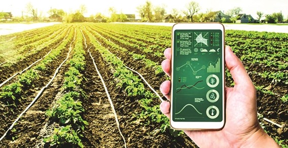 ベトナムのデジタル経済・DX市場動向の考察と将来予測：量から質に転換する農業