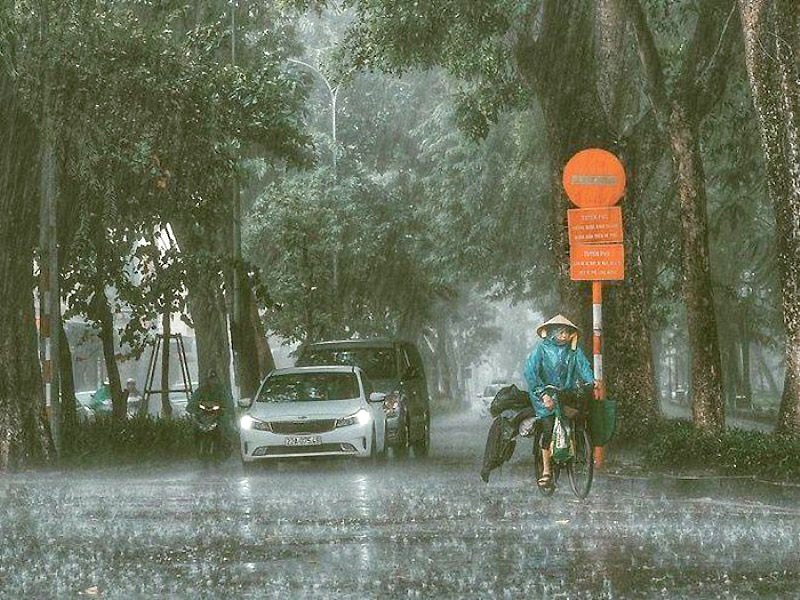 ベトナム建設市場の最新動向と将来予測：ベトナムには大雨の多い雨季がある