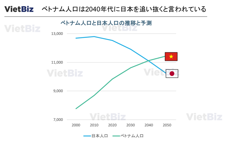 画像に alt 属性が指定されていません。ファイル名: image-6.png