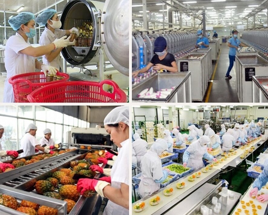 ベトナムの食品加工工場