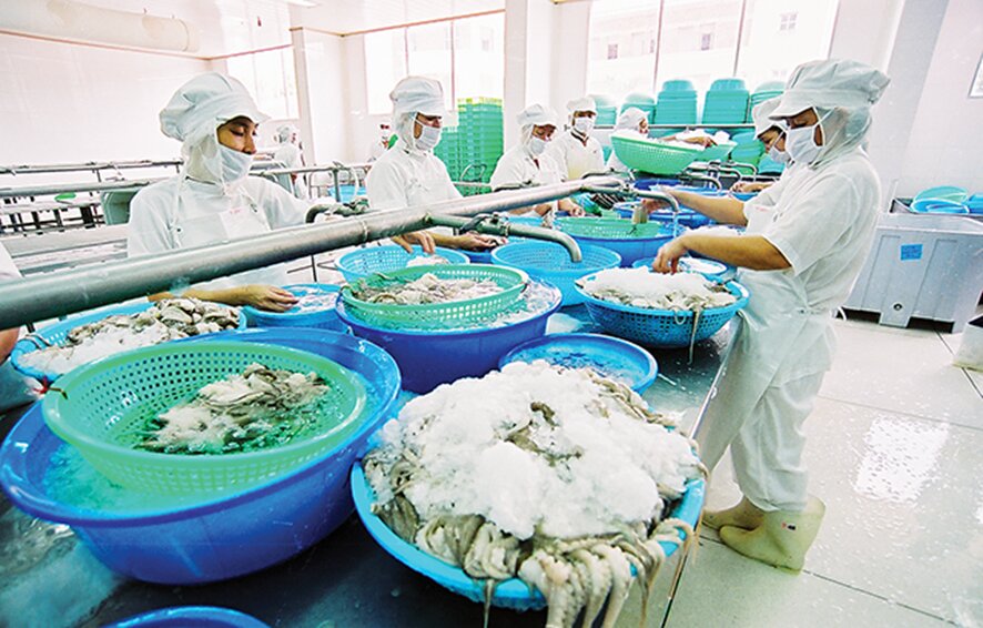 水産業界は、ベトナムの輸出売上高に 100 億米ドル以上貢献している。