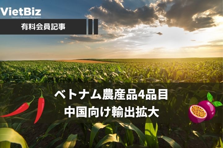 ベトナム農産品4品目、中国向け輸出拡大