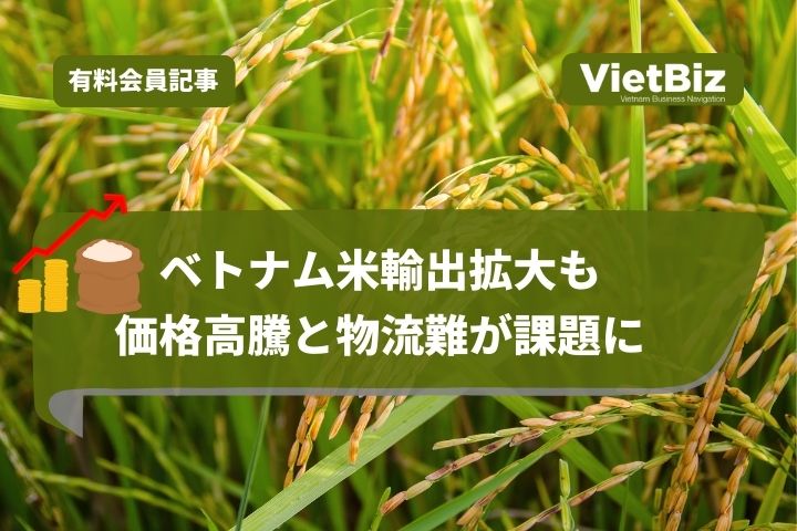 ベトナム米輸出拡大も、価格高騰と物流難が課題に