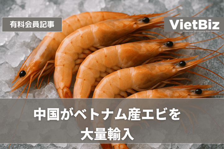 中国がベトナム産エビを大量輸入